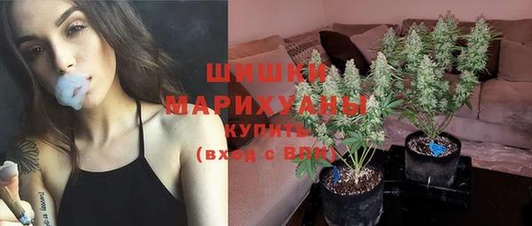 сатива Белоозёрский